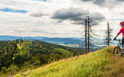 Benefits of High-Intensity Interval Training